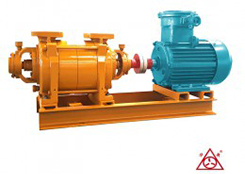 FSK係列麻豆免费视频网站真空泵