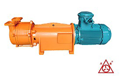 F2BV係列麻豆免费视频网站真空泵