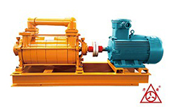 F2SK係列麻豆免费视频网站真空泵